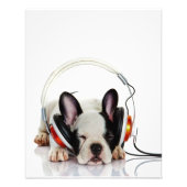 Niedlicher Bulldogin | English Bulldog Lover Fotodruck (Vorne)