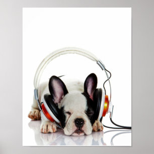 Niedlicher Bulldogin English Bulldog Lover Poster