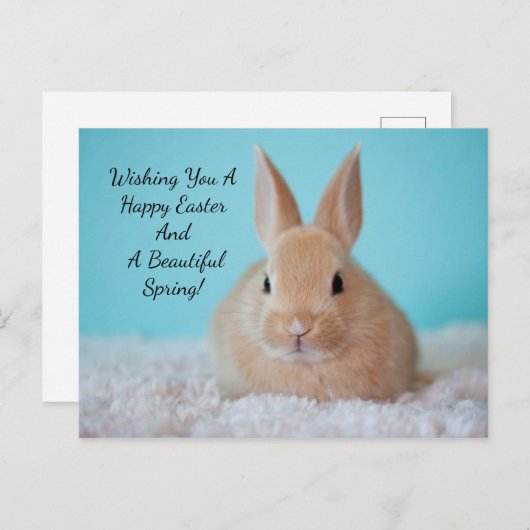 Niedlicher Bunny Osteraster Feiertagspostkarte (Vorne/Hinten)