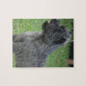 Niedlicher Cairn-Terrier Puzzle (Horizontal)