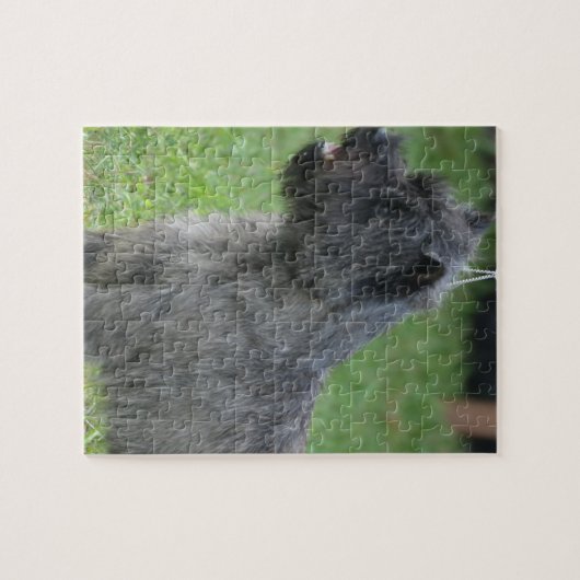 Niedlicher Cairn-Terrier Puzzle (Horizontal)