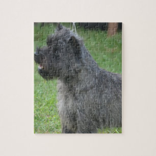Niedlicher Cairn-Terrier Puzzle
