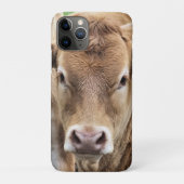 NIEDLICHER CALF Case-Mate iPhone HÜLLE (Rückseite)
