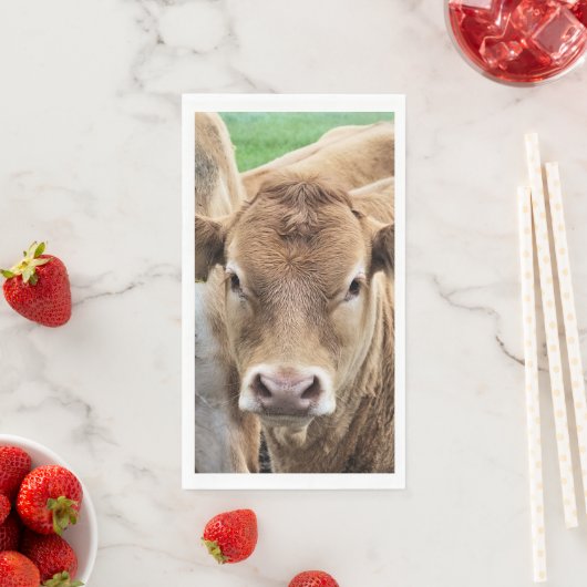 NIEDLICHER CALF SERVIETTE (Beispiel)