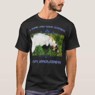 Niedlicher Calico Cat Graphic Fotografy Text schön T-Shirt