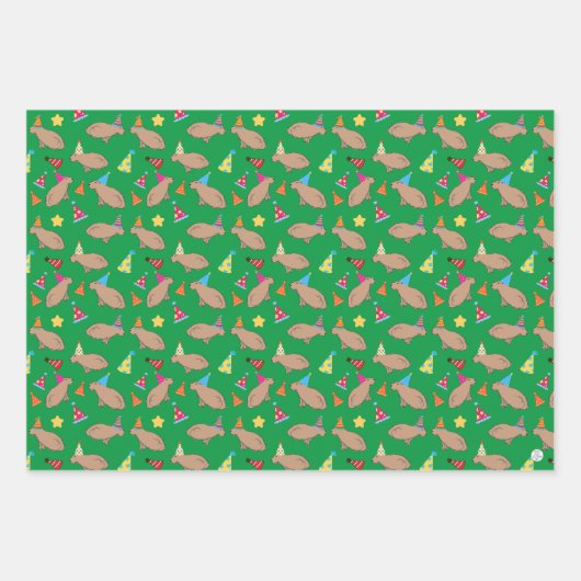 Niedlicher Capybara Hand-Illustrierter Whimsical G Geschenkpapier Set (Vorderseite 2)