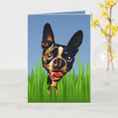 Niedlicher Cartoon Boston Terrier Grußkarte Karte (Gelbe Blume)