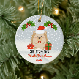 Niedlicher Cartoon Igel Baby's First Christmas Fot Keramik Ornament