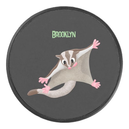 Niedlicher Cartoon-Illustrator Eishockey Puck (Vorderseite)