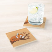 Niedlicher Cartoon Red Panda in Tree Glasuntersetzer (Schrägansicht)