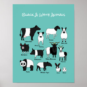 Niedlicher Cartoon Schwarz-Weiß-Tiere-Poster Poster
