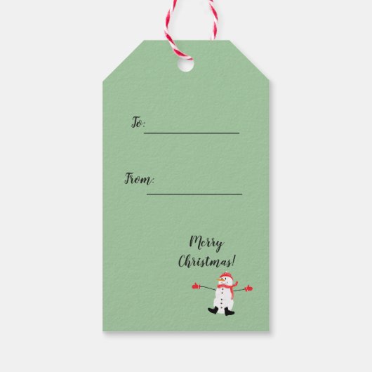 Niedlicher Cartoon Snowman Oh, was Spaß Sage Green Geschenkanhänger (Rückseite)