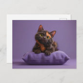 Niedlicher Cartoon Tortoiseshell Kitten auf Lila C Postkarte (Vorne/Hinten)