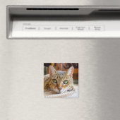 Niedlicher Cat-Magnet Magnet (In Situ (Geschirrspüler))