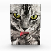 Niedlicher Cat Portrait Foto Block (Vorderseite)