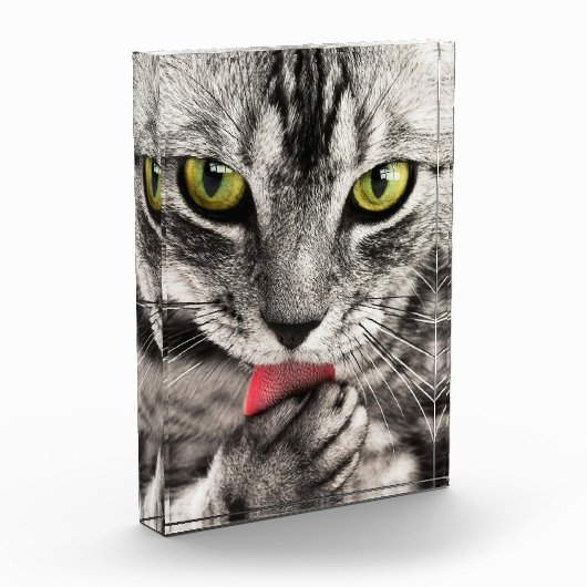 Niedlicher Cat Portrait Foto Block (Links)