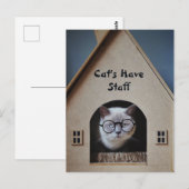 Niedlicher Cat Spaß Funny Cats haben Mitarbeiteran Postkarte (Vorne/Hinten)