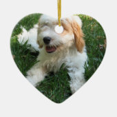 NIEDLICHER CAVAPOO WELPE KERAMIKORNAMENT (Vorne)
