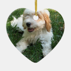 NIEDLICHER CAVAPOO WELPE KERAMIKORNAMENT