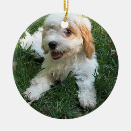 NIEDLICHER CAVAPOO WELPE KERAMIKORNAMENT (Vorne)