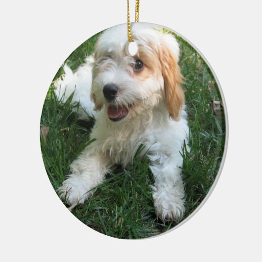 NIEDLICHER CAVAPOO WELPE KERAMIKORNAMENT (Links)