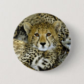 Niedlicher Cheetah Button (Vorderseite)