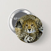 Niedlicher Cheetah Button (Vorne & Hinten)