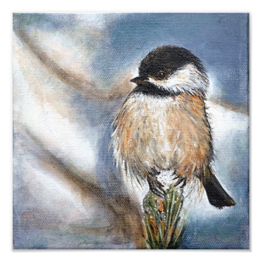 Niedlicher Chickadebird Adorable Black Capped Fotodruck (Vorne)