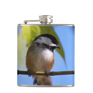 Niedlicher Chickadee auf einer Flachmann