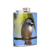 Niedlicher Chickadee auf einer Flachmann (Rechts)