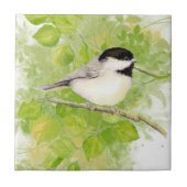 Niedlicher Chickadee Bird in Poplar Tree Fliese (Vorderseite)