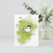 Niedlicher Chickadee Bird in Poplar Tree Postkarte (Stehend Vorderseite)