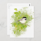 Niedlicher Chickadee Bird in Poplar Tree Postkarte (Vorne/Hinten)