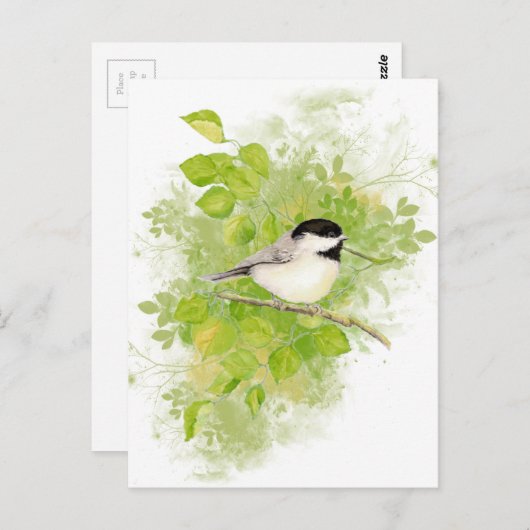 Niedlicher Chickadee Bird in Poplar Tree Postkarte (Vorne/Hinten)