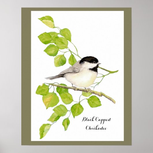 Niedlicher Chickadee Bird in Poplar Tree Süße freu Poster (Vorne)