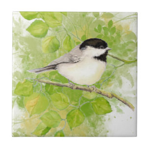Niedlicher Chickadee-Vogel im Pappel-Baum Fliese