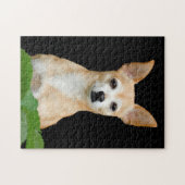Niedlicher Chihuahua Dog Tan Black Art Pet Portrai Puzzle (Horizontal)