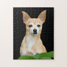 Niedlicher Chihuahua Dog Tan Black Art Pet Portrai