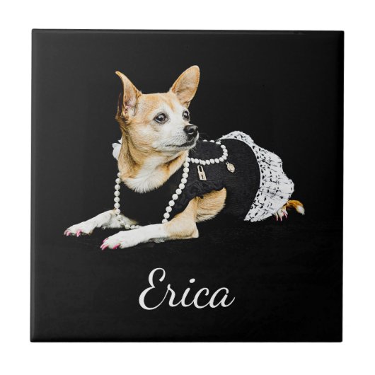 Niedlicher Chihuahua Dog Tan Brown Schwarz Fliese (Vorderseite)