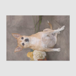 Niedlicher Chihuahua Hund Blumenstrauß Portrait Seidenpapier