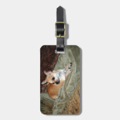 Niedlicher Chihuahua-Hund Gepäckanhänger (Vorderseite vertikal)