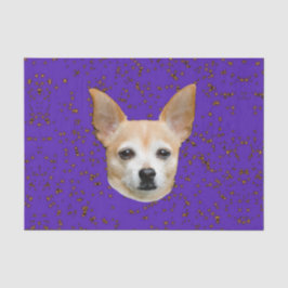 Niedlicher Chihuahua Hund Lila Gelbe Stars mit Hin Seidenpapier