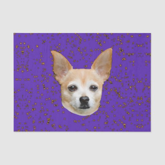 Niedlicher Chihuahua Hund Lila Gelbe Stars mit Hin Seidenpapier (Vorderseite)
