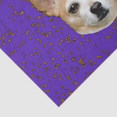 Niedlicher Chihuahua Hund Lila Gelbe Stars mit Hin Seidenpapier (Ausschnitt)
