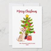 Niedlicher Chihuahua-Hund Weihnachten (Vorderseite)