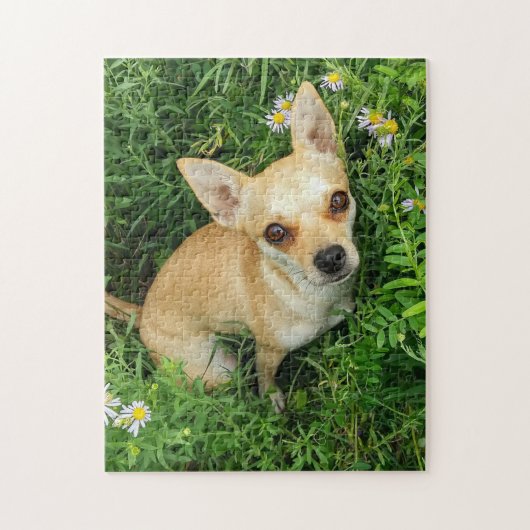 Niedlicher Chihuahua in der Gras-Wiese Puzzle (Vertikal)