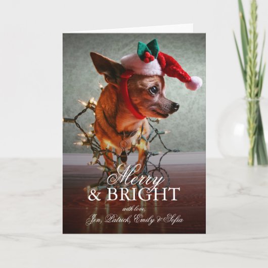 Niedlicher Chihuahua mit einer Weihnachtsmannmütze Feiertagskarte (Vorderseite)