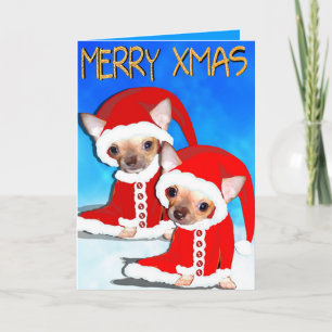 niedlicher Chihuahua-Santa Feiertagskarte