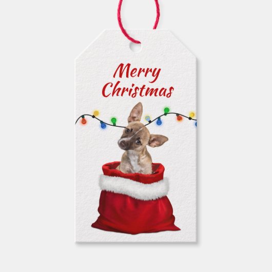 Niedlicher Chihuahua-Welpe in Santa Bag-Geschenket Geschenkanhänger (Vorderseite)
