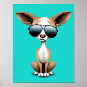 Niedlicher Chihuahua-Welpen-tragende Sonnenbrillen Poster